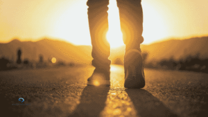 How Wellness Optimization Supports Energy, Focus & Recovery